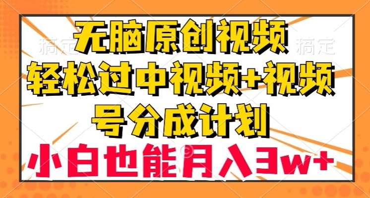 无脑原创视频，轻松过中视频+视频号分成计划，小白也能月入3w+【揭秘】-悟空知识星球