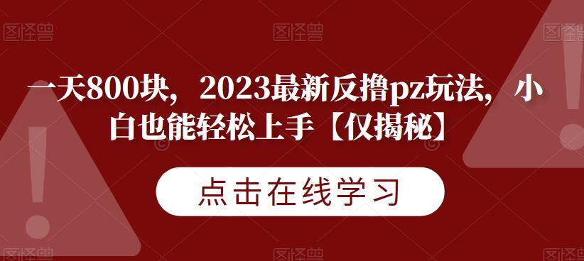 一天800块，2023最新反撸pz玩法，小白也能轻松上手【仅揭秘】-悟空知识星球
