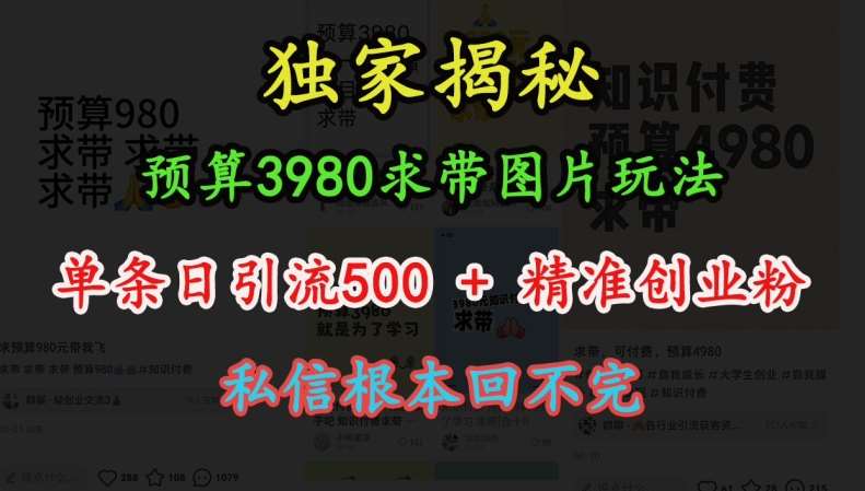 预算3980求带 图片玩法，单条日引流500+精准创业粉，私信根本回不完-悟空知识星球