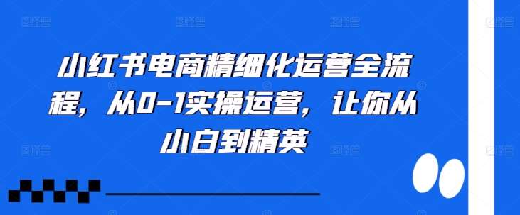 小红书电商精细化运营全流程，从0-1实操运营，让你从小白到精英-悟空知识星球