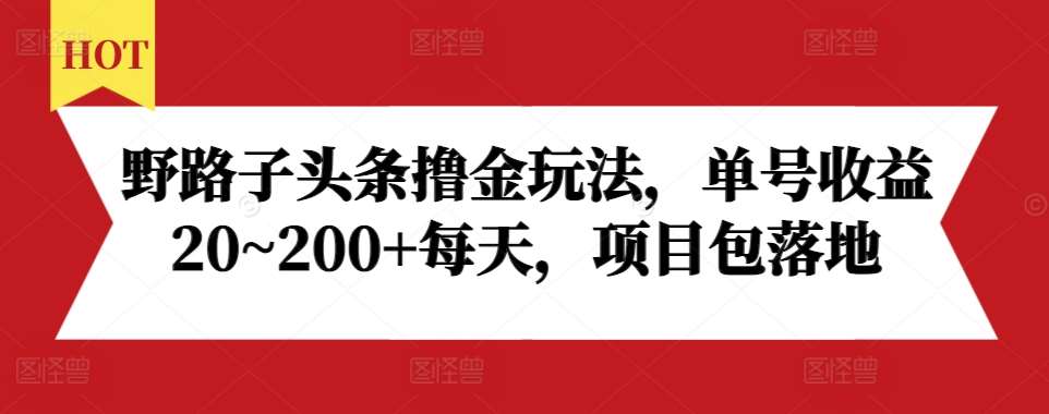 野路子头条撸金玩法,单号收益20~200+每天,项目包落地-悟空知识星球
