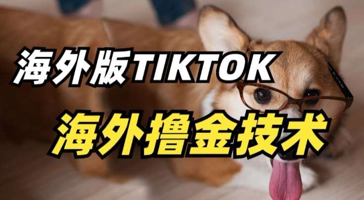 抖音海外版tiktok撸金技术，这个风口行业，赚钱真的不难【揭秘】-悟空知识星球