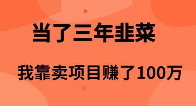 (10149期)当了3年韭菜,我靠卖项目赚了100万-悟空知识星球