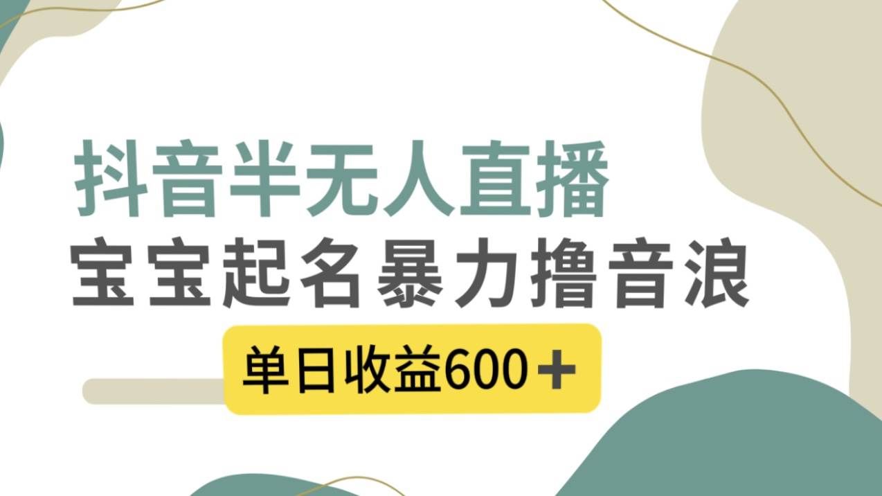 （8192期）抖音半无人直播，宝宝起名，暴力撸音浪，单日收益600+-悟空知识星球
