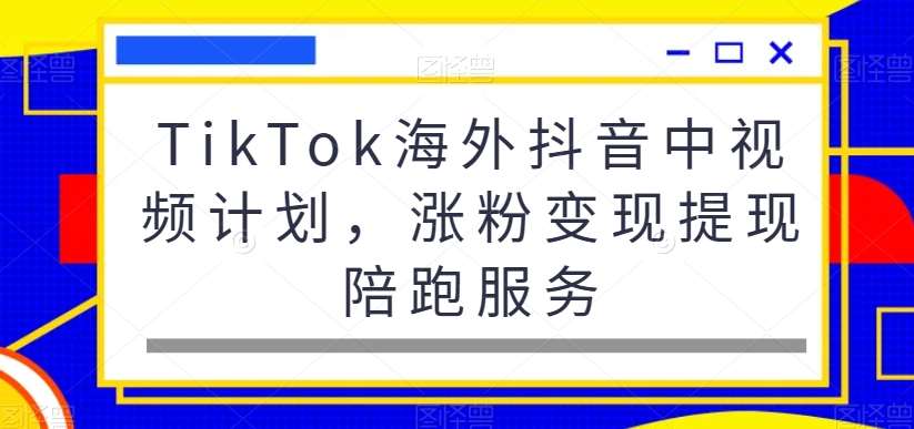 TikTok海外抖音中视频计划，涨粉变现提现陪跑服务-悟空知识星球