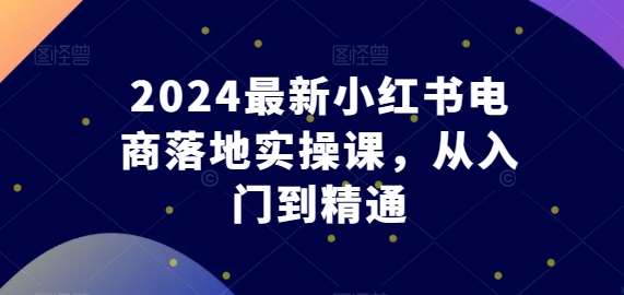 2024最新小红书电商落地实操课，从入门到精通-悟空知识星球