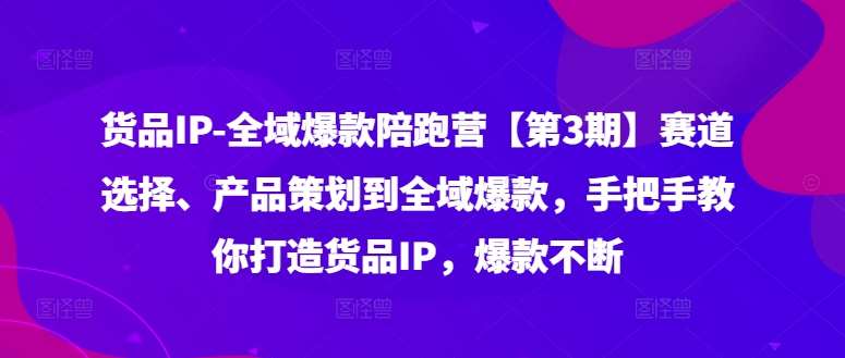 货品IP全域爆款陪跑营【第3期】赛道选择、产品策划到全域爆款，手把手教你打造货品IP，爆款不断-悟空知识星球