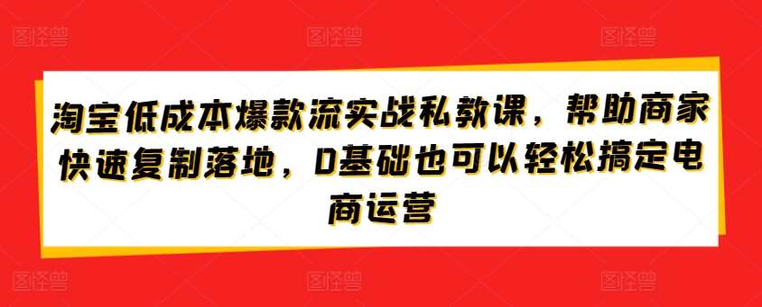 淘宝低成本爆款流实战私教课，帮助商家快速复制落地，0基础也可以轻松搞定电商运营-悟空知识星球