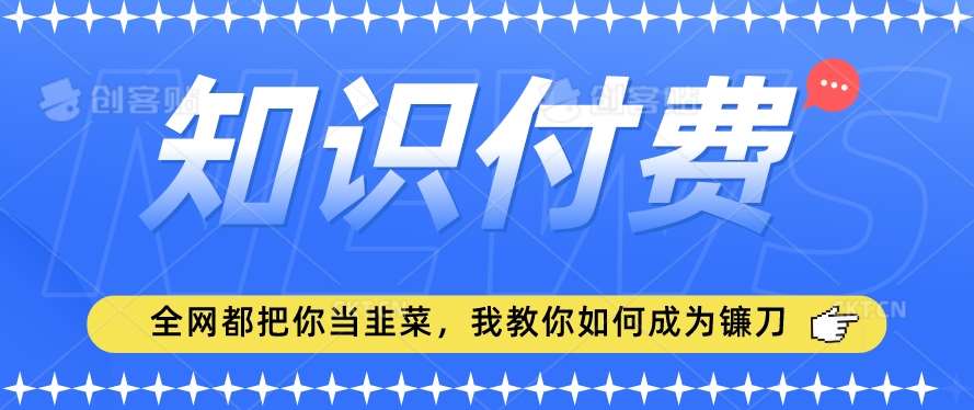 2024最新知识付费项目，小白也能轻松入局，全网都在教你做项目，我教你做镰刀【揭秘】-悟空知识星球