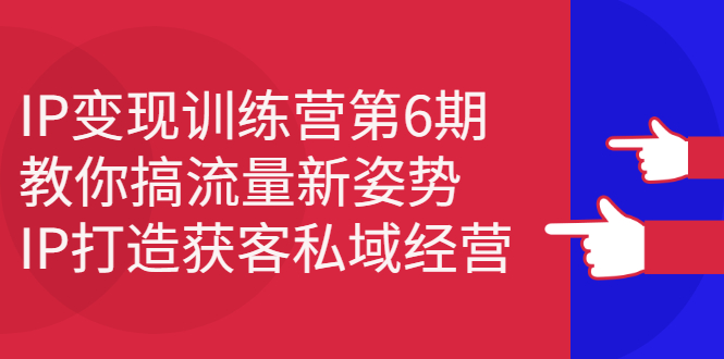 IP变现训练营第6期：教你搞流量新姿势，IP打造获客私域经营-悟空知识星球