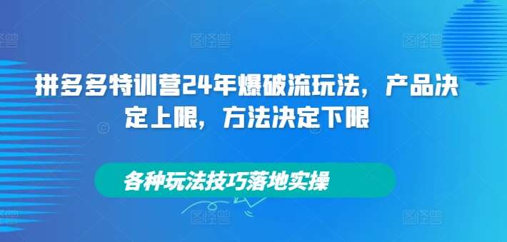 拼多多特训营24年爆破流玩法，产品决定上限，方法决定下限，各种玩法技巧落地实操-悟空知识星球