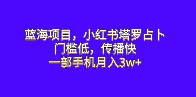 蓝海项目,小红书塔罗占卜,门槛低,传播快,一部手机月入3w+-悟空知识星球
