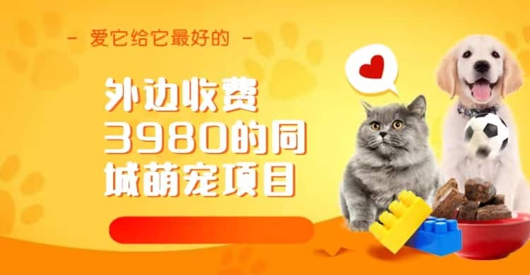 同城萌宠项目，用最冷门的玩法冲击最热门的市场（教程+素材）-悟空知识星球