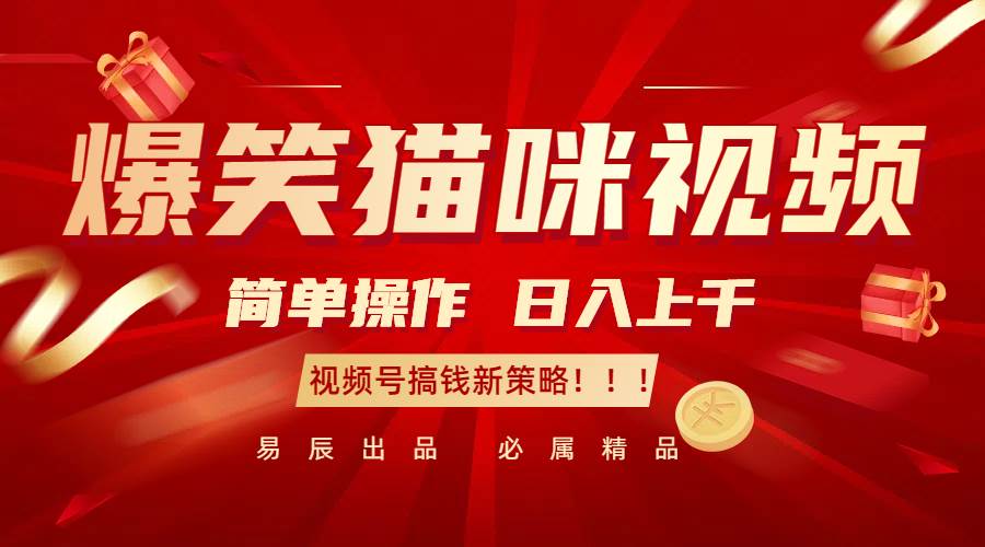 爆笑猫咪视频：简单操作，日入过千，视频号搞钱新策略！-悟空知识星球