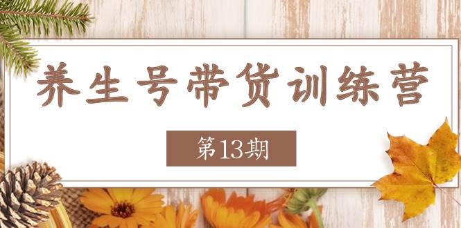 养生号带货训练营【第13期】收益更稳定的玩法，让你带货收益爆炸-悟空知识星球