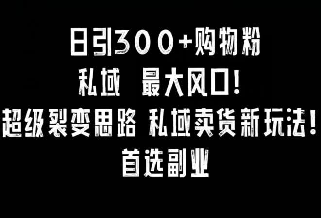 日引300+购物粉，超级裂变思路，私域卖货新玩法，小红书首选副业【揭秘】-悟空知识星球