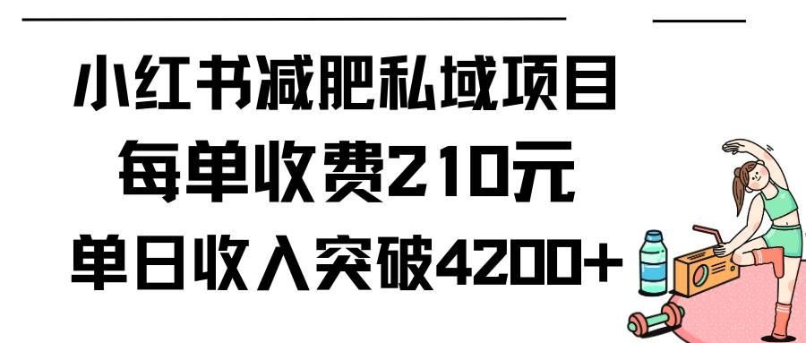 （9466期）小红书减肥私域项目每单收费210元单日成交20单，最高日入4200+-悟空知识星球