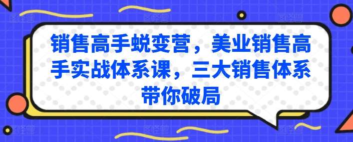 销售高手蜕变营,美业销售高手实战体系课,三大销售体系带你破局-悟空知识星球