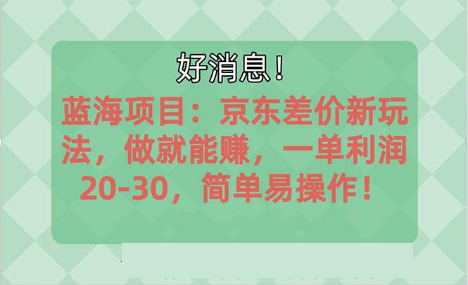（10989期）越早知道越能赚到钱的蓝海项目：京东大平台操作，一单利润20-30，简单…-悟空知识星球