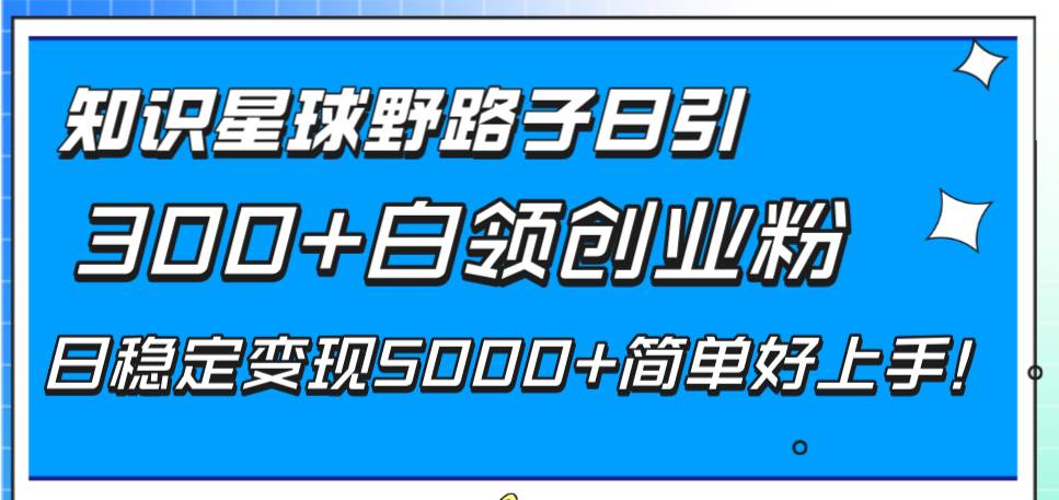 （8315期）知识星球野路子日引300+白领创业粉，日稳定变现5000+简单好上手！-悟空知识星球