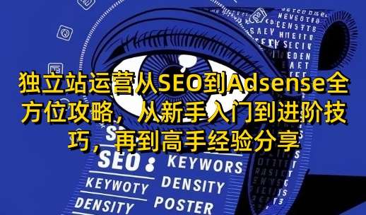 独立站运营从SEO到Adsense全方位攻略，从新手入门到进阶技巧，再到高手经验分享-悟空知识星球