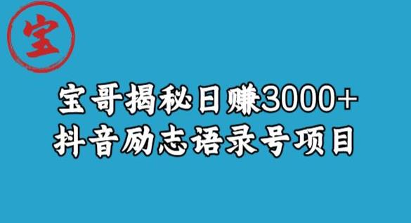 宝哥揭秘日赚3000+抖音励志语录号短视频变现项目-悟空知识星球