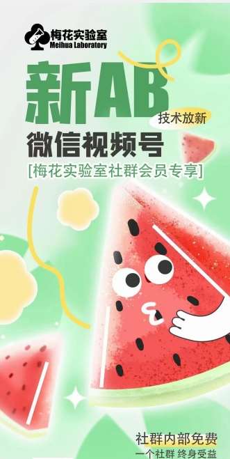 梅花实验室2024年AB技术视频号AB合成破解版-悟空知识星球