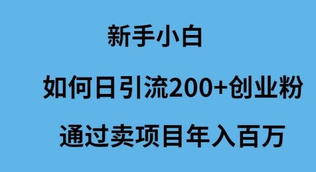 （9668期）新手小白如何日引流200+创业粉通过卖项目年入百万-悟空知识星球