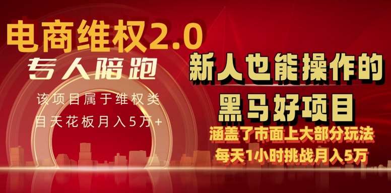电商维权 4.0 如何做到月入 5 万+每天 1 小时新人也能快速上手【仅揭秘】-悟空知识星球