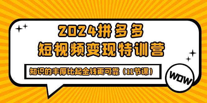（9817期）2024拼多多短视频变现特训营，知识的丰厚比起金钱更可靠（11节课）-悟空知识星球