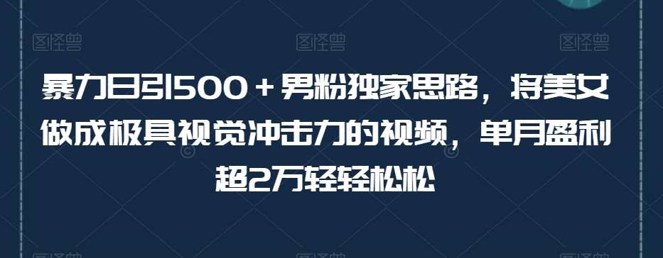 暴力日引500+男粉独家思路,将美女做成极具视觉冲击力的视频,单月盈利超2万轻轻松松-悟空知识星球