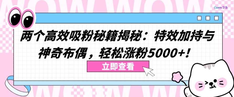 两个高效吸粉秘籍揭秘：特效加持与神奇布偶，轻松涨粉5000+【揭秘】-悟空知识星球