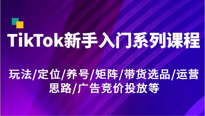 TikTok新手入门系列课程，玩法/定位/养号/矩阵/带货选品/运营思路/广告竞价投放等-悟空知识星球