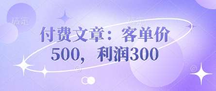 付费文章:客单价500,利润300-悟空知识星球