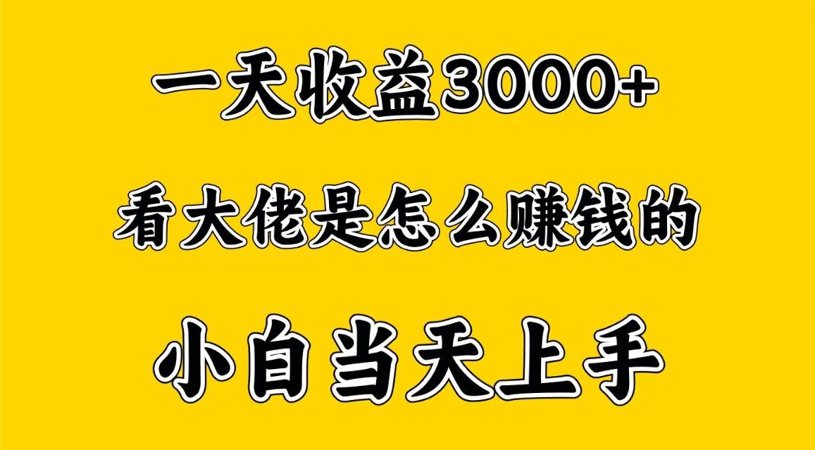 一天赚3000多，大佬是这样赚到钱的，小白当天上手，穷人翻身项目-悟空知识星球