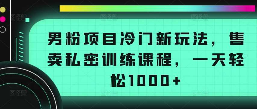 男粉项目冷门新玩法，售卖私密训练课程，一天轻松1000+【揭秘】-悟空知识星球
