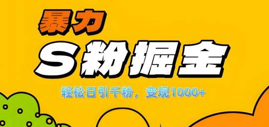 单人单机日引千粉，变现1k+，S粉流量掘金计划攻略【揭秘】-悟空知识星球