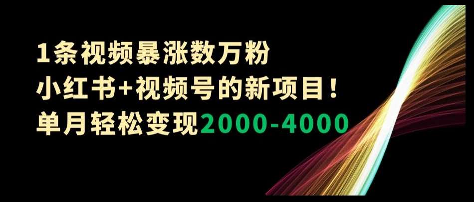 1条视频暴涨数万粉–小红书+视频号的新项目！单月轻松变现2000-4000【揭秘】-悟空知识星球