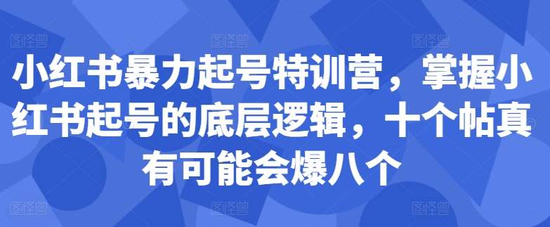 小红书暴力起号特训营，掌握小红书起号的底层逻辑，十个帖真有可能会爆八个-悟空知识星球