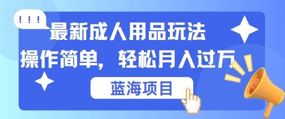 最新成人用品项目玩法,操作简单,动动手,轻松日入几张【揭秘】-悟空知识星球