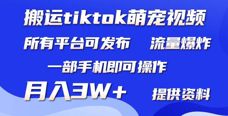 （9618期）搬运Tiktok萌宠类视频，一部手机即可。所有短视频平台均可操作，月入3W+-悟空知识星球