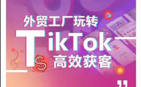 外贸工厂玩转TikTok高效获客，多种引流方式与账号定位技巧，拆解爆款短视频打造成功案例-悟空知识星球