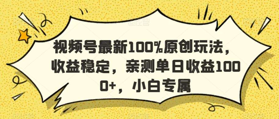 视频号最新100%原创玩法，收益稳定，亲测单日收益1000+，小白专属【揭秘】-悟空知识星球