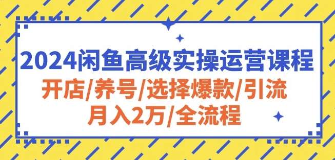 2024闲鱼高级实操运营课程：开店/养号/选择爆款/引流/月入2万/全流程-悟空知识星球