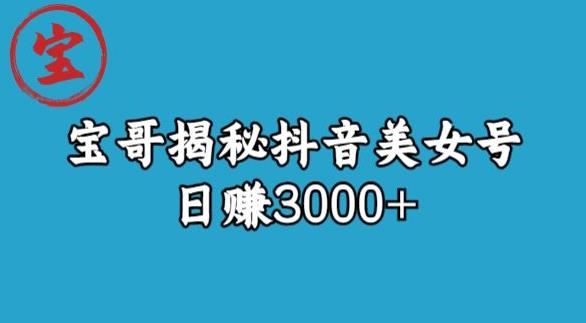宝哥揭秘抖音美女号玩法，日赚3000+【揭秘】-悟空知识星球