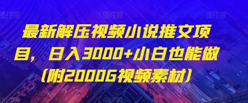 最新解压视频小说推文项目，日入3000+小白也能做（附2000G视频素材）【揭秘】-悟空知识星球