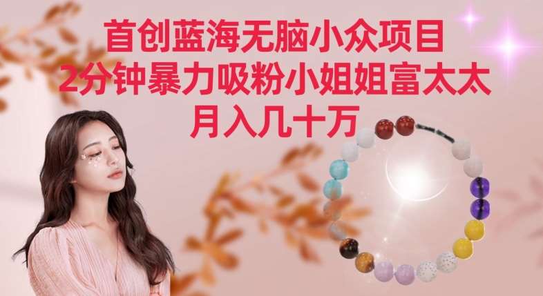 首创蓝海无脑小众项目，2分钟暴力吸粉小姐姐富太太，月入几十万【揭秘】-悟空知识星球
