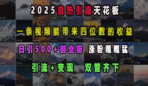 2025自热引流天花板，一条视频能带来四位数的收益，引流+变现双管齐下，日引500+创业粉，涨粉嘎嘎猛-悟空知识星球