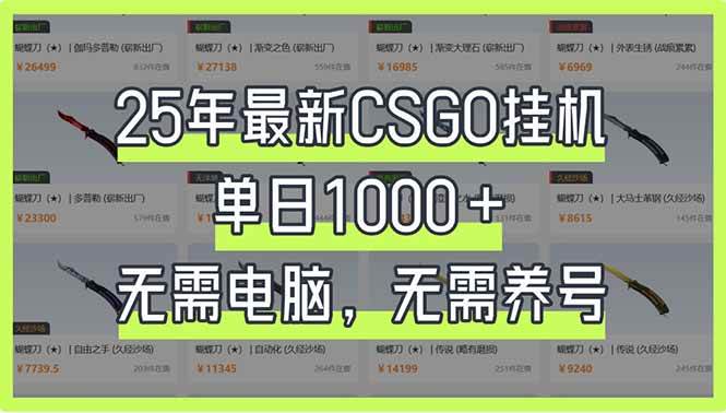 (14178期)25年最新CSGO挂机系统,单日1000+,无需电脑,无需养号,0基础可上手-悟空知识星球