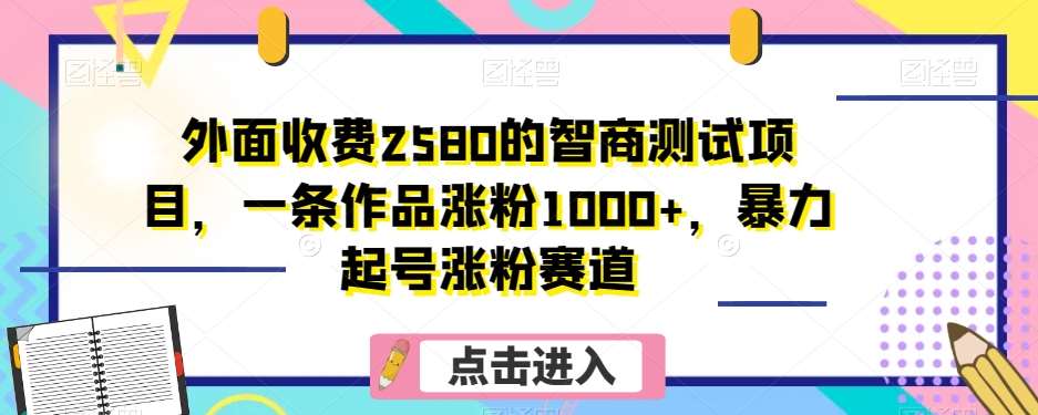 外面收费2580的智商测试项目，一条作品涨粉1000+，暴力起号涨粉赛道【揭秘】-悟空知识星球